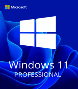 Windows 11 Professional Activation Key